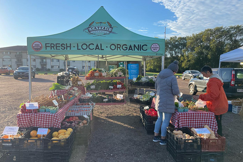 Best Canopy Tent for Farmers Market A Guide for Vendors